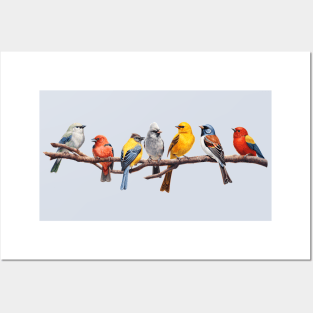 Backyard Bird Watcher Birder Songbirds on a Branch Posters and Art